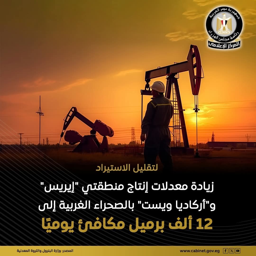 استثمار ناجح بين عجيبة و
