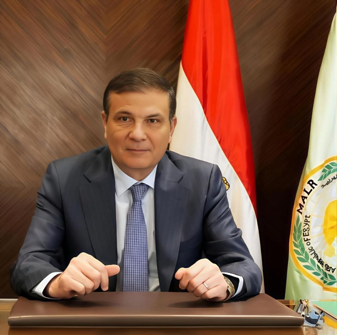 الموالح على قمة الصادرات الزراعية المصرية تليها البطاطس ثم البطاطا 