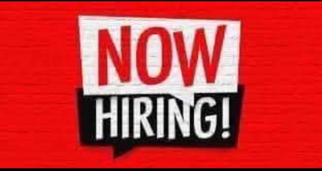 مطلوب مصمم جرافيك ، ومبرمج محترف للعمل في مصر 