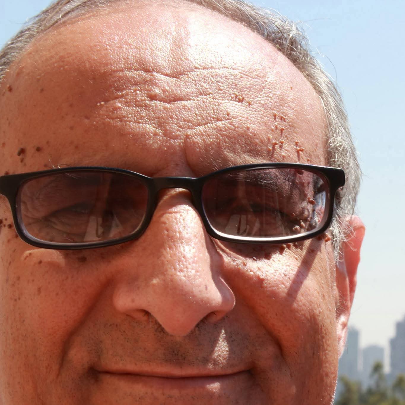 المؤرخ الأديب: أحمد زكريا الشلق