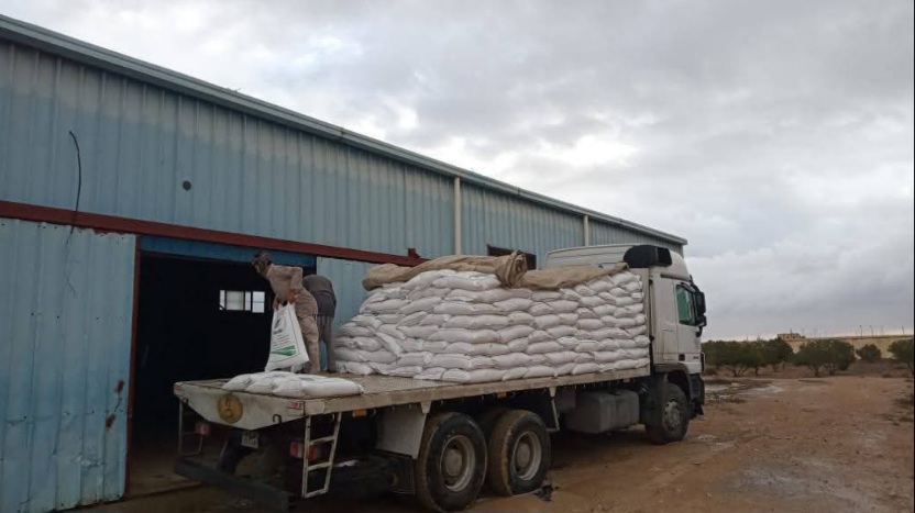 خطة شاملة لتنمية التجمعات البدوية ودعم مزارعي سيدي براني والسلوم 