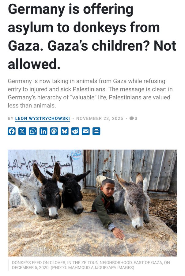 في ألمانيا.. الحمير أحق بالرعاية واللجوء من البشر 