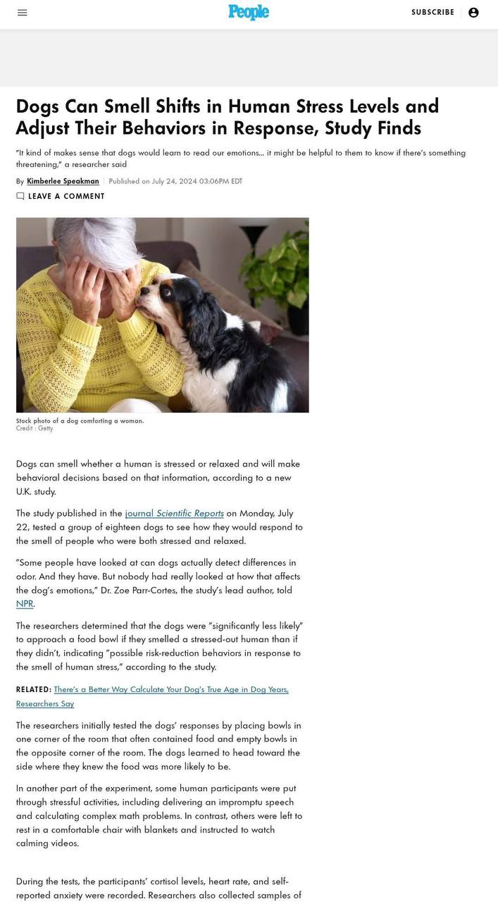 الكلاب تتجاوب مع توتر أصحابها