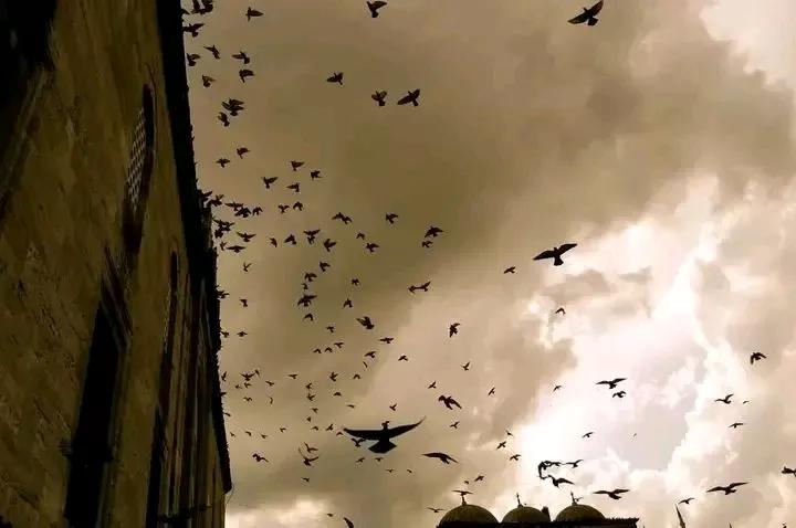  هل تزوج النبي صلى الله عليه وسلم من الأنصار؟