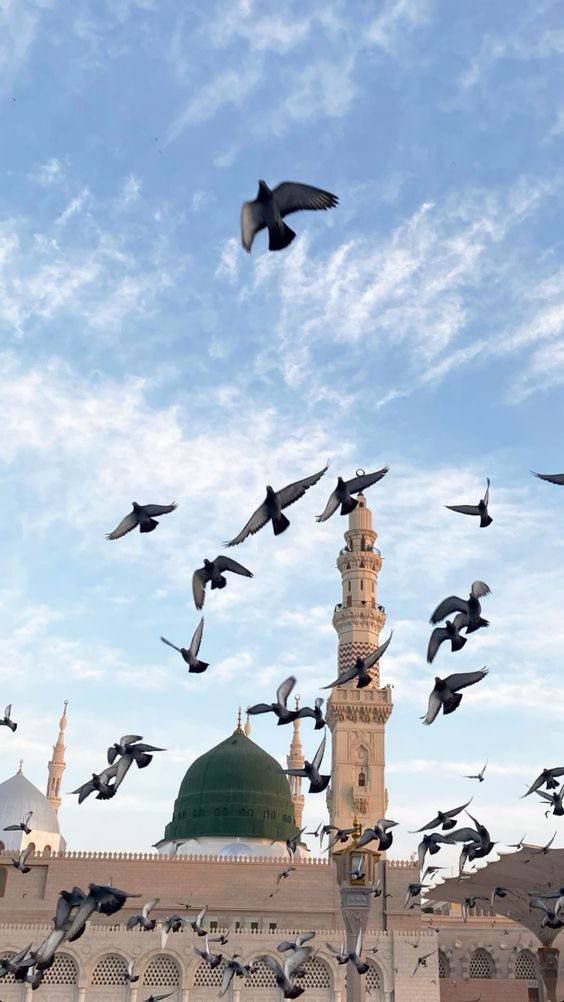 الاقتصاد الإسلامي نشأ في المدينة المنورة 