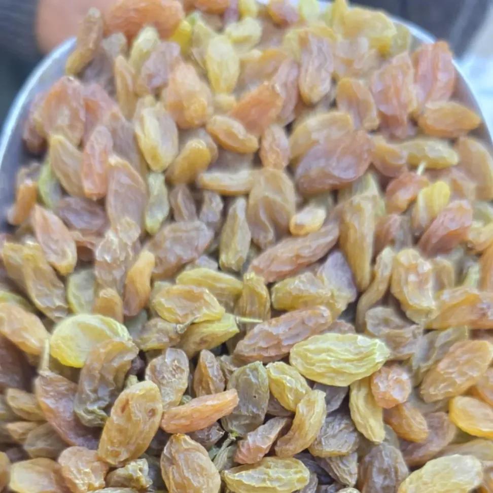 بإجماع الأطباء والفقهاء: الزبيب يقوي الذاكرة ويحمي الكبد 