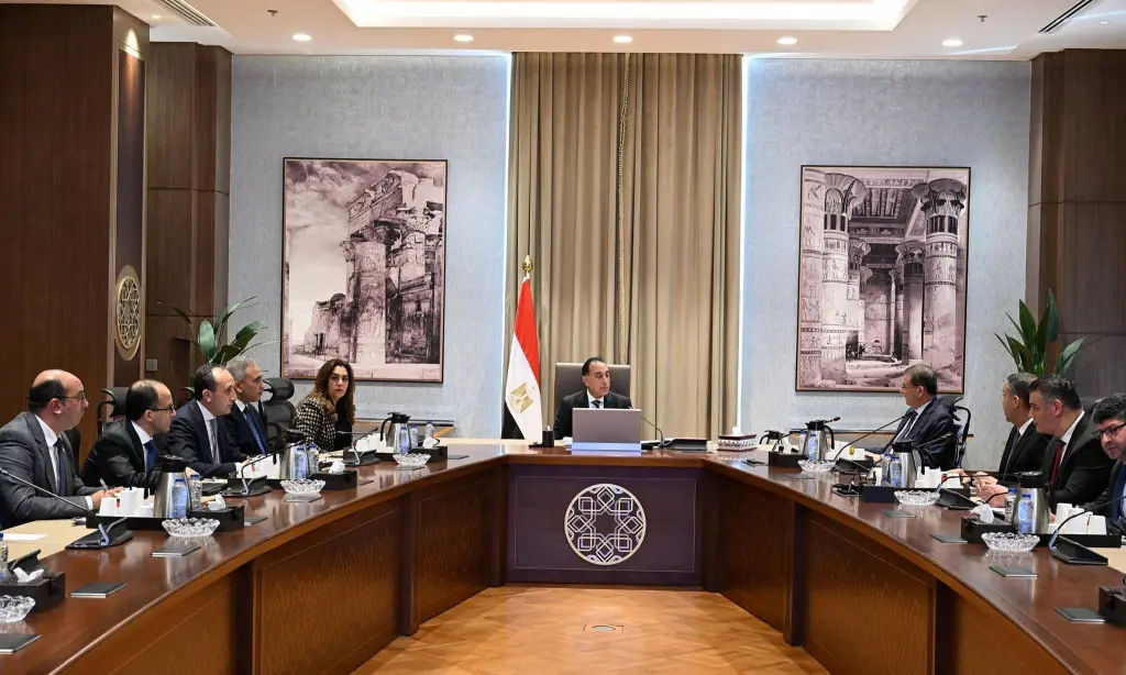 تحصين 121 ألف كلب وتعقيم 8311  خلال عام 2025 