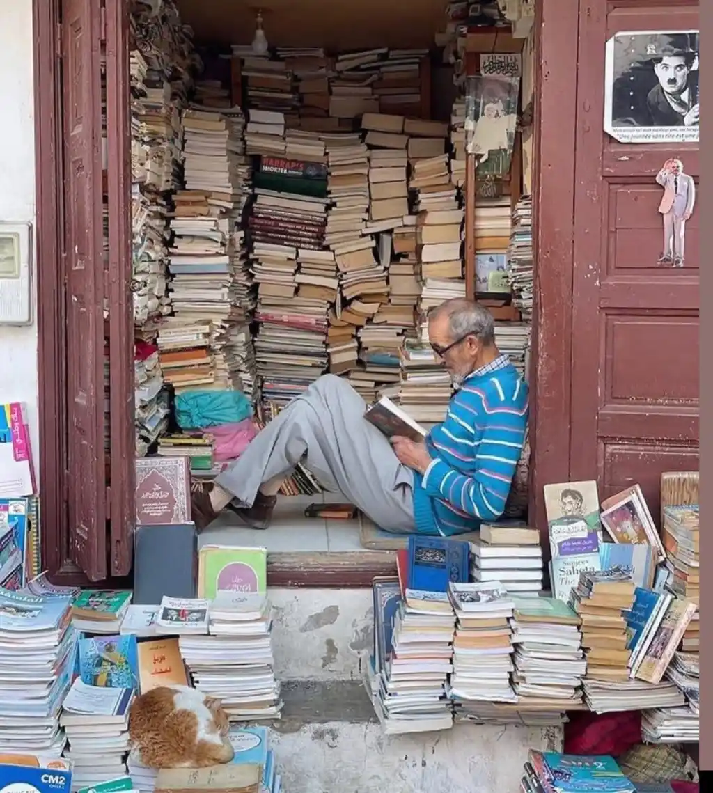 أبرز المصطلحات الفلسفية  المتداولة 