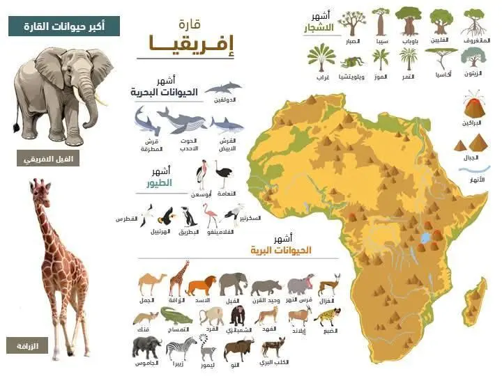  مفهوم الحياة البريّة 