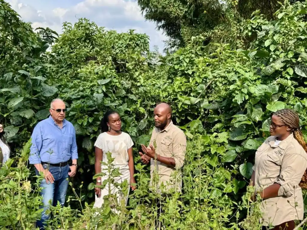محمية نيانديونغو في رواندا ... بصمة خضراء في قلب أفريقيا 