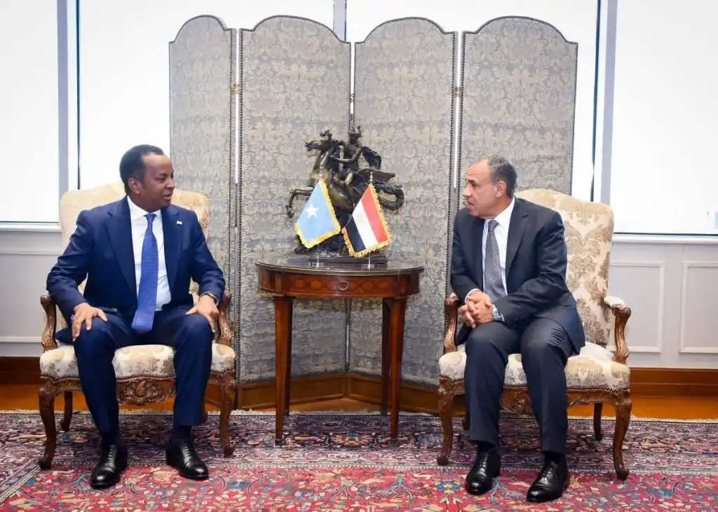 مصر تجدد التزامها بدعم جهود بناء مؤسسات الدولة