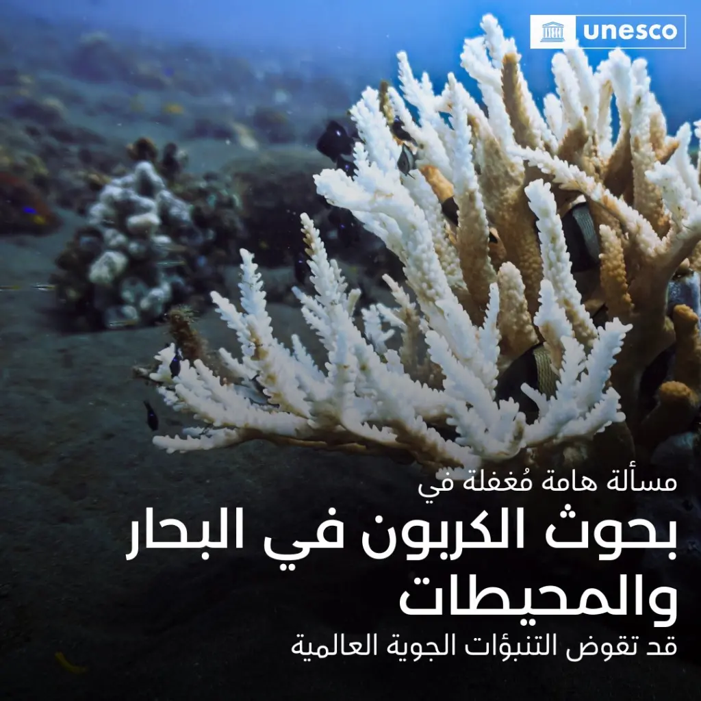 اليونسكو : المحيطات تمتص   25-30% من انبعاثات الكربون الناتجة عن النشاط البشري سنويًا 