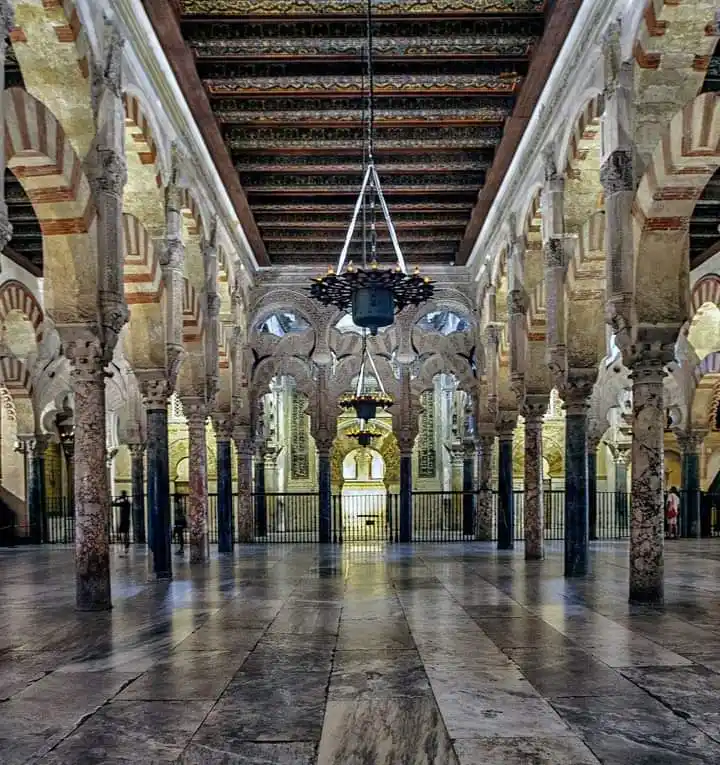  كيف وصف شكيب أرسلان جامعة قرطبة ؟ 