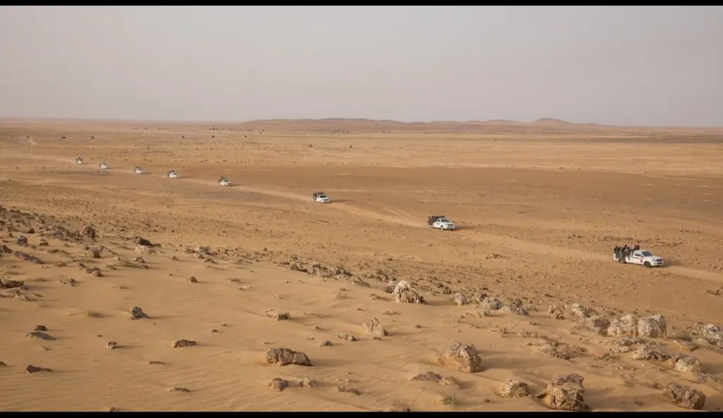 ليبيا .. الجيش يشن غارات على مواقع الإرهابيين بالقرب من حدود النيجر 