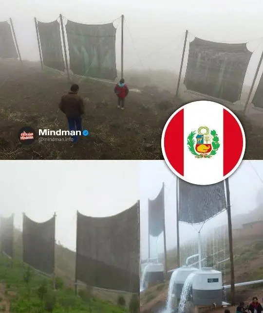 صائد الضباب: ابتكار بيروفي يحول الصحاري إلى واحات خضراء