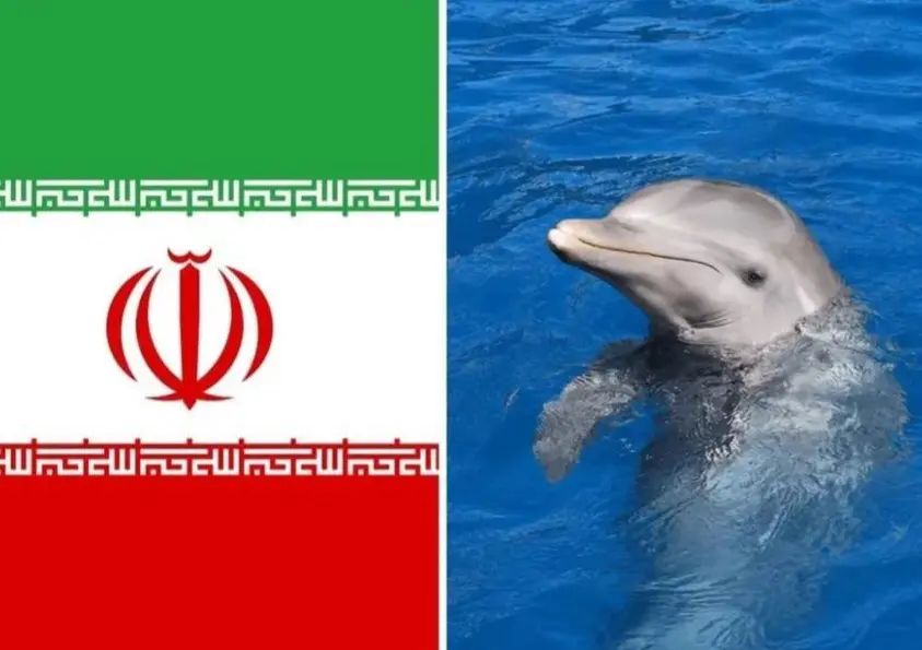 إيران تدرس  استخدام الدلافين  الانتحارية  لكسر الحصار البحري الأمريكي 