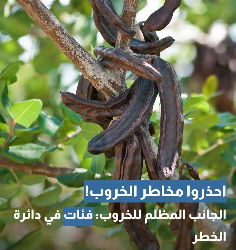 فوائد وأضرار الحروب.. أسرار لا تعرفها 