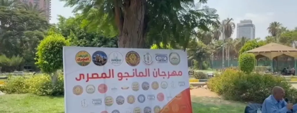 الذهب الاستوائي.. مصر تحتفي بالمانجو في أول مهرجان شامل من نوعه بحديقة الحرية