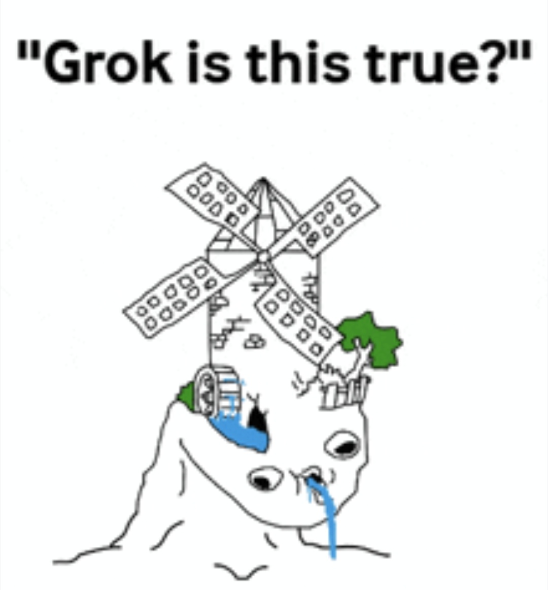 تطبيق Grok ينكر الهولوكوست والسلطات الفرنسية تفتح تحقيقا 