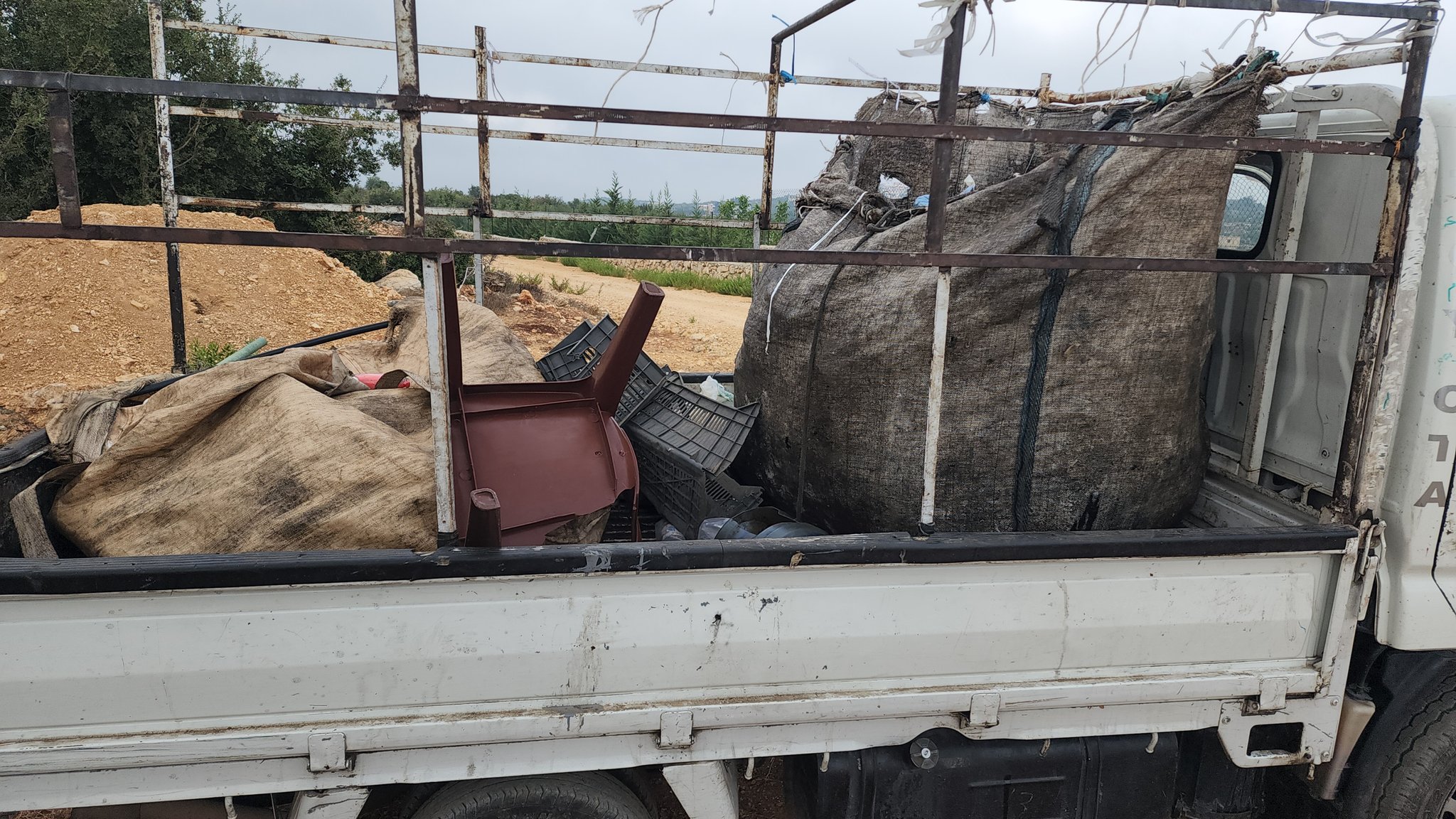 الصين تصنع البلاستيك من الخيزران 