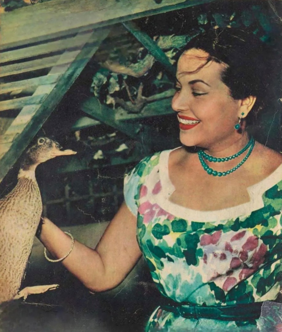 في ذكرى ميلادها.. مديحة يسري .... سمراء النيل بين الحب والفقد والمعجزة التي غيّرت حياتها